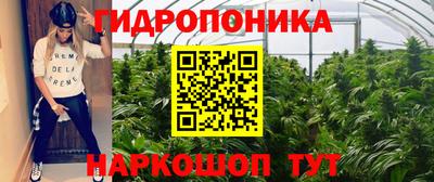 крисы Ливны