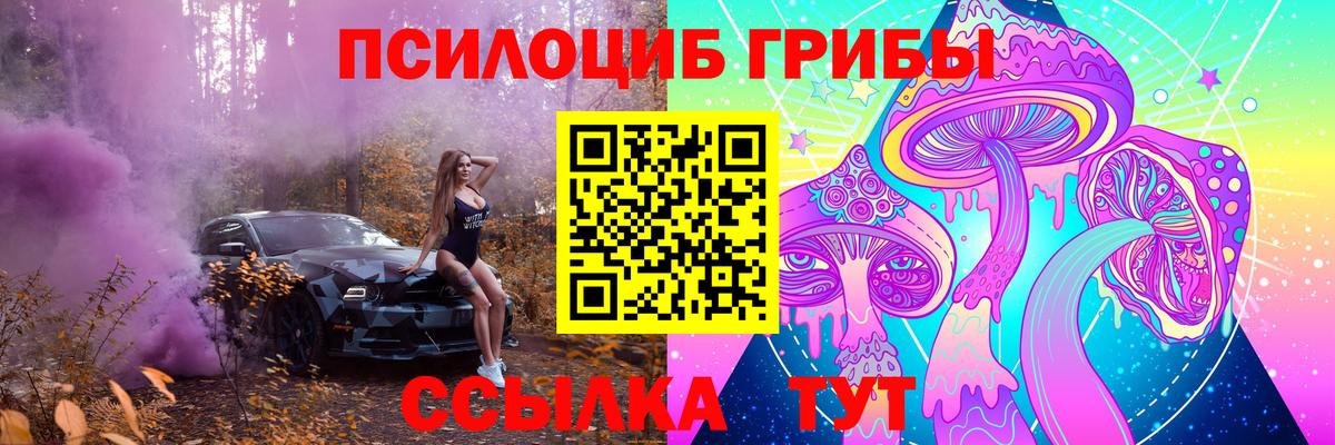 Псилоцибиновые грибы Psilocybe  Псилоцибиновые грибы MAGIC MUSHROOMS  Чапаевск  Вход с VPN 
