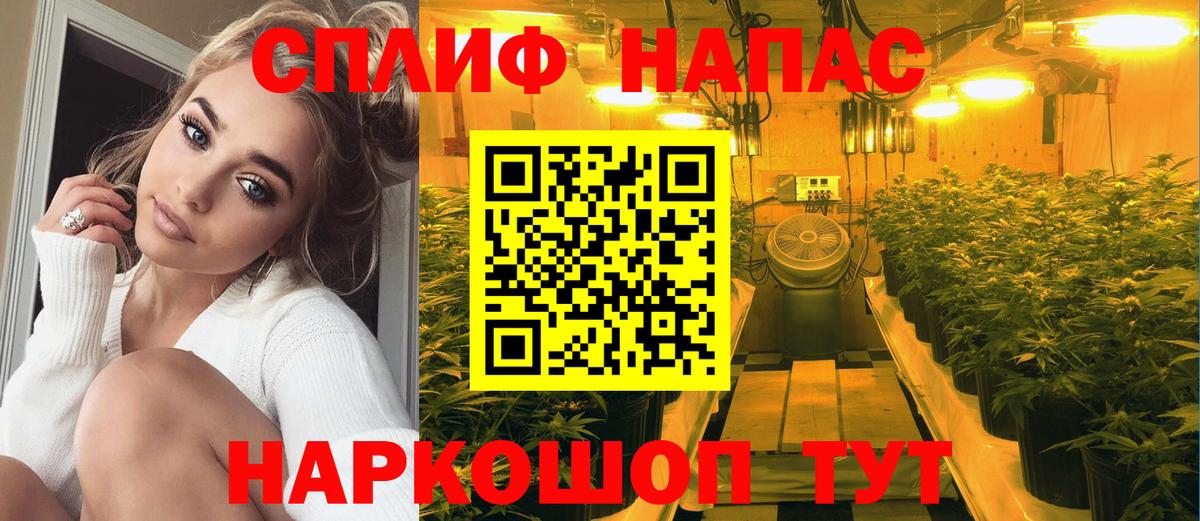 Каннабис планчик  Шишки марихуана AK-47  Чапаевск  МАРИХУАНА сатива  Вход с VPN 